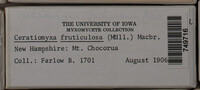 Image Associated With the Occurence